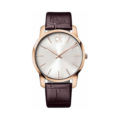 Calvin Klein Watches 7612635070049