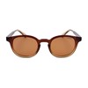  Polaroid Men Accessories Pld2096s Brown